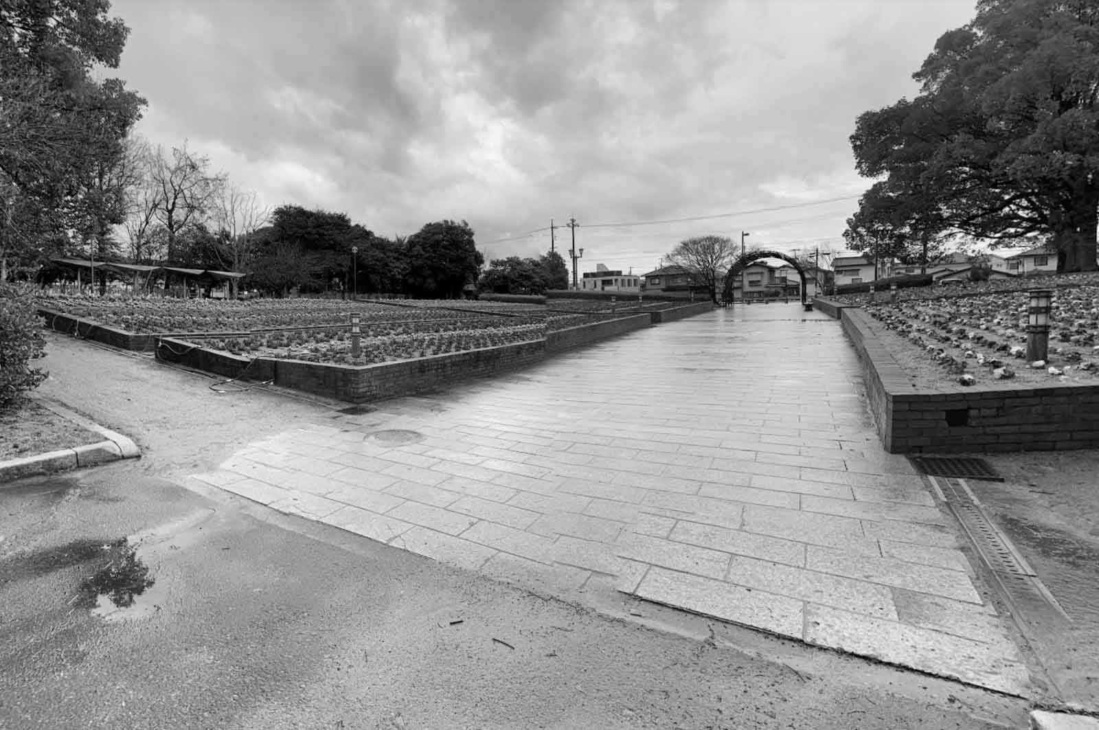 酒津公園