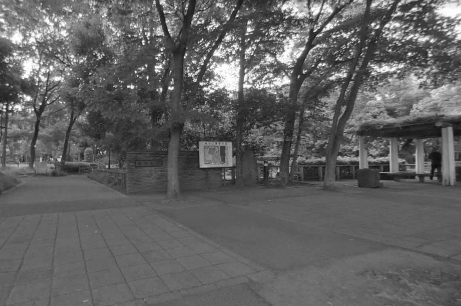 後谷公園（戸田市）