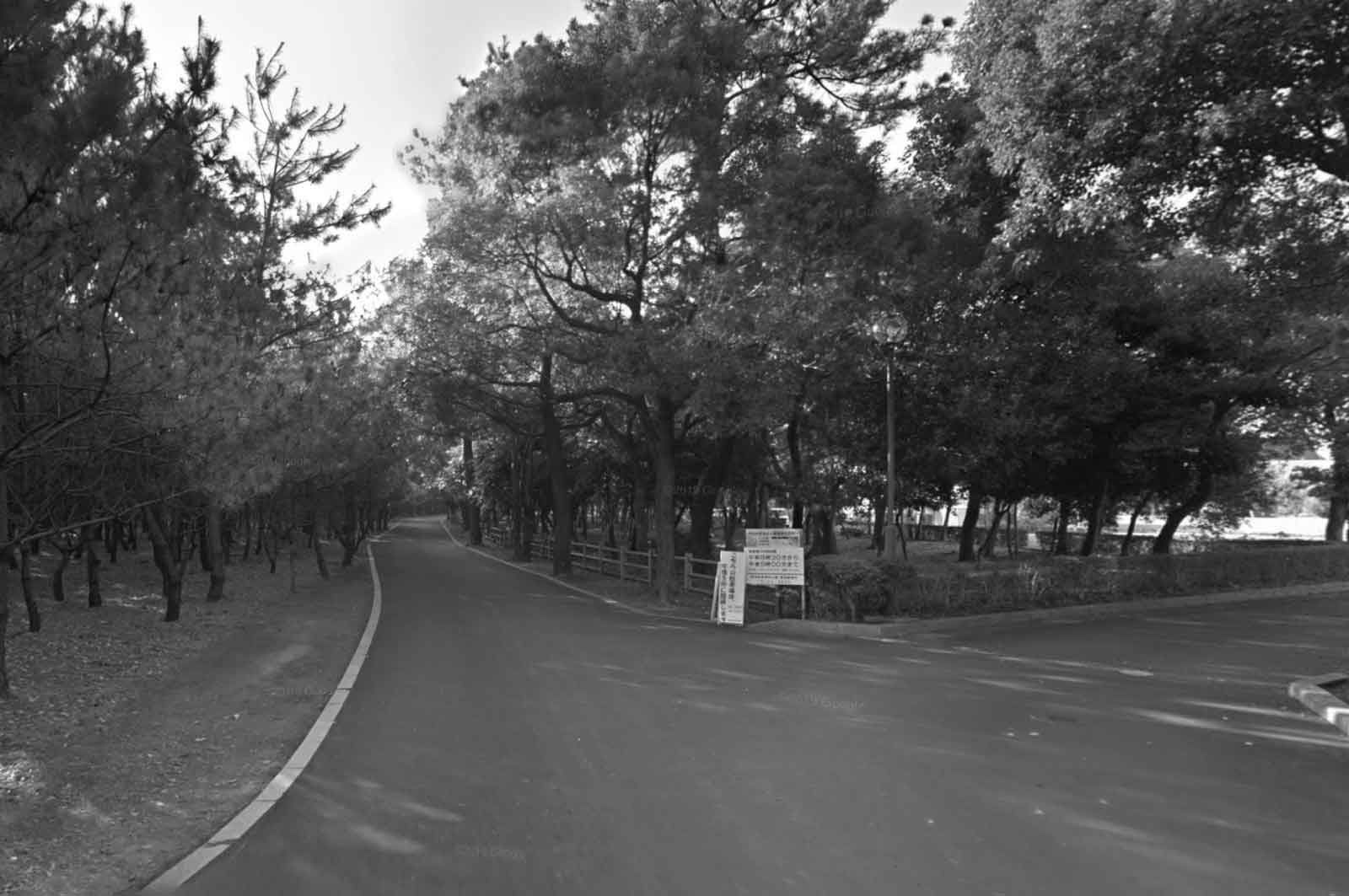 阿波岐原森林公園