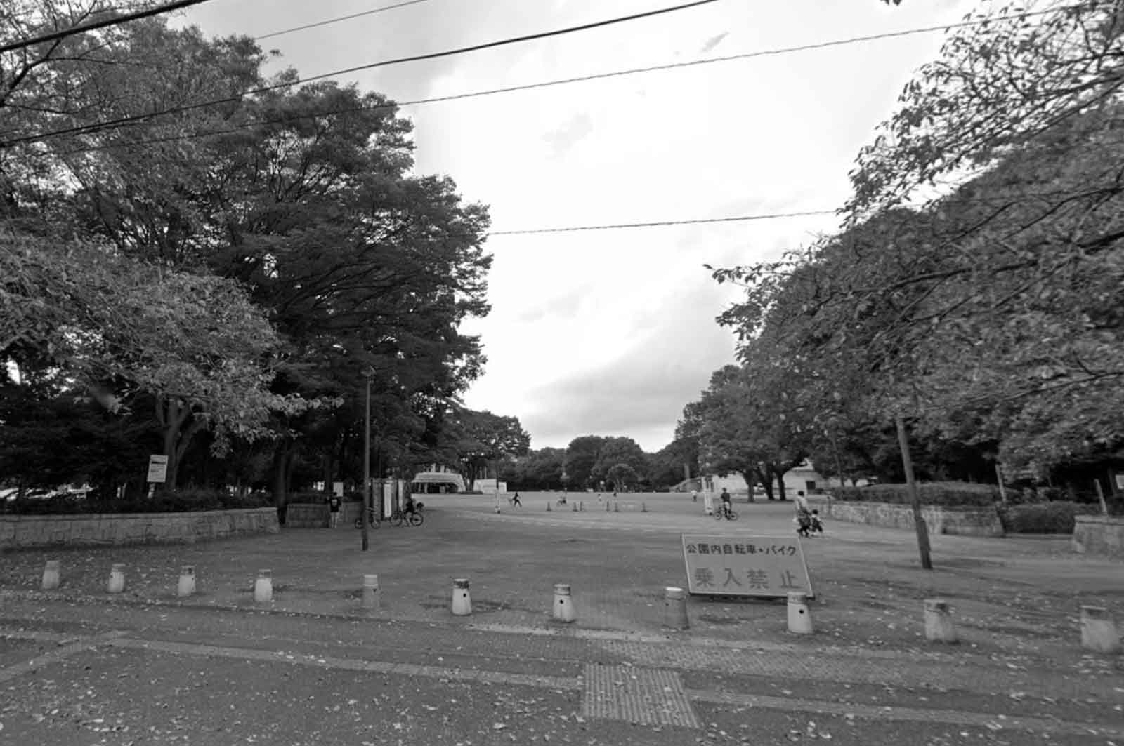 淵野辺公園