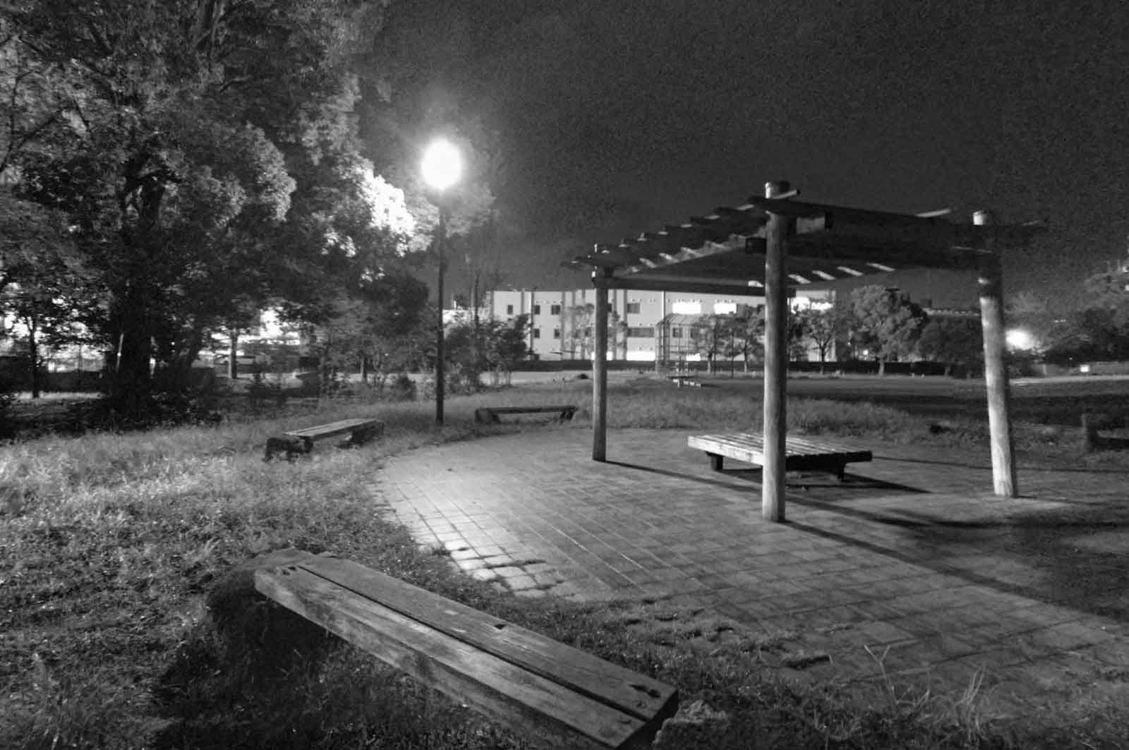 富士見公園