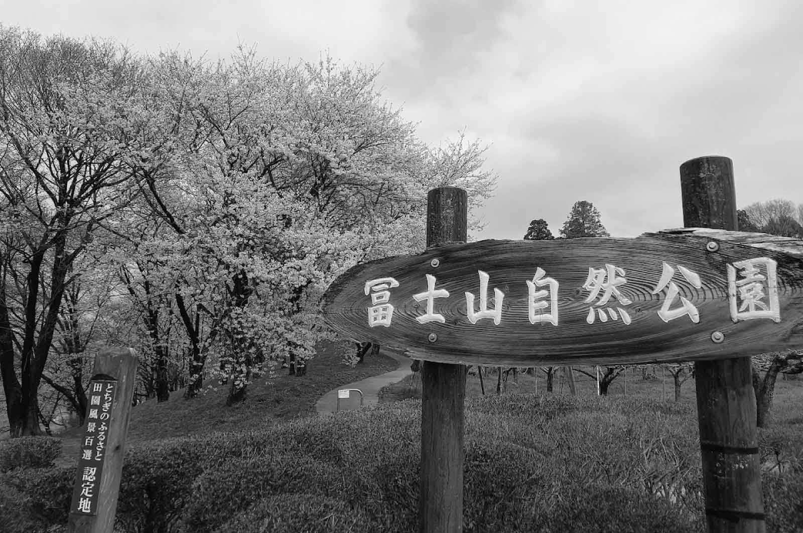 冨士山自然公園
