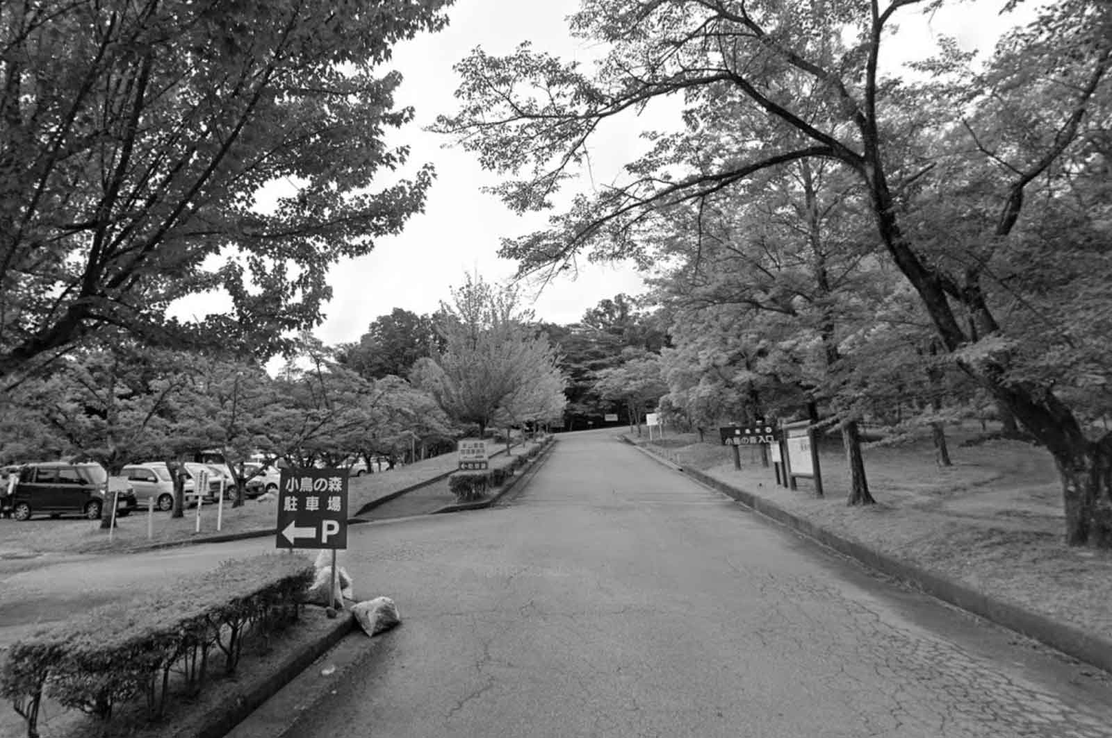 福島市小鳥の森