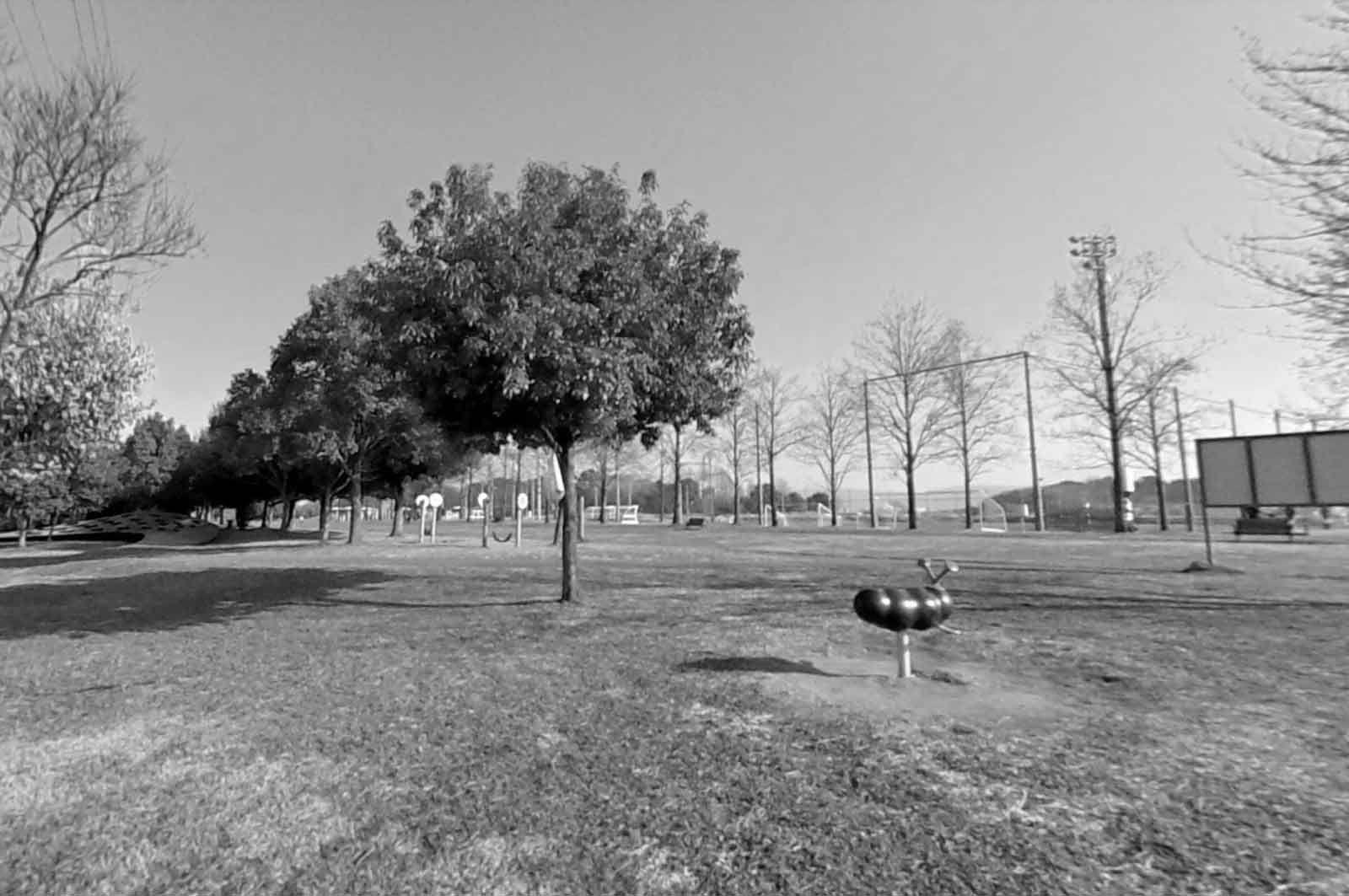 橿原運動公園