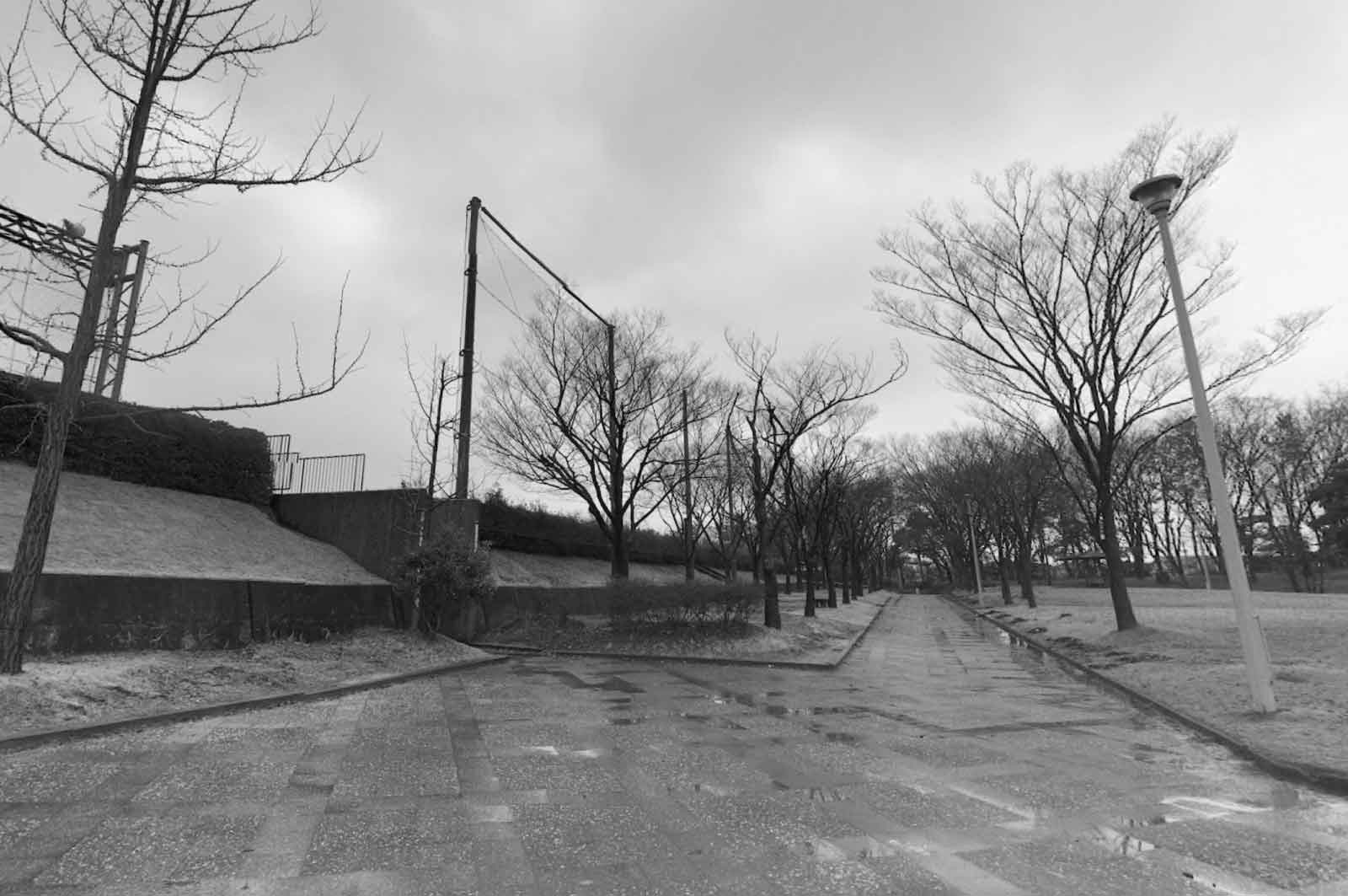 県民公園 新港の森