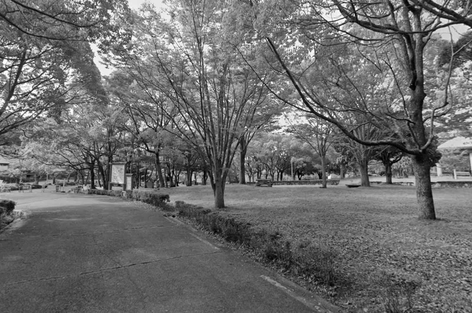 公渕森林公園