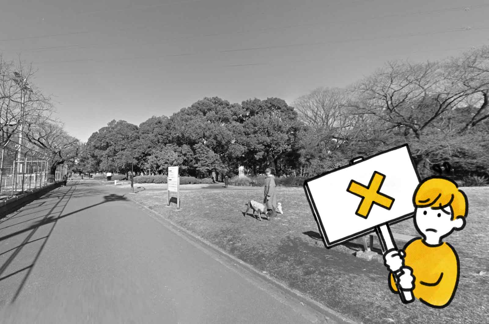 駒沢公園