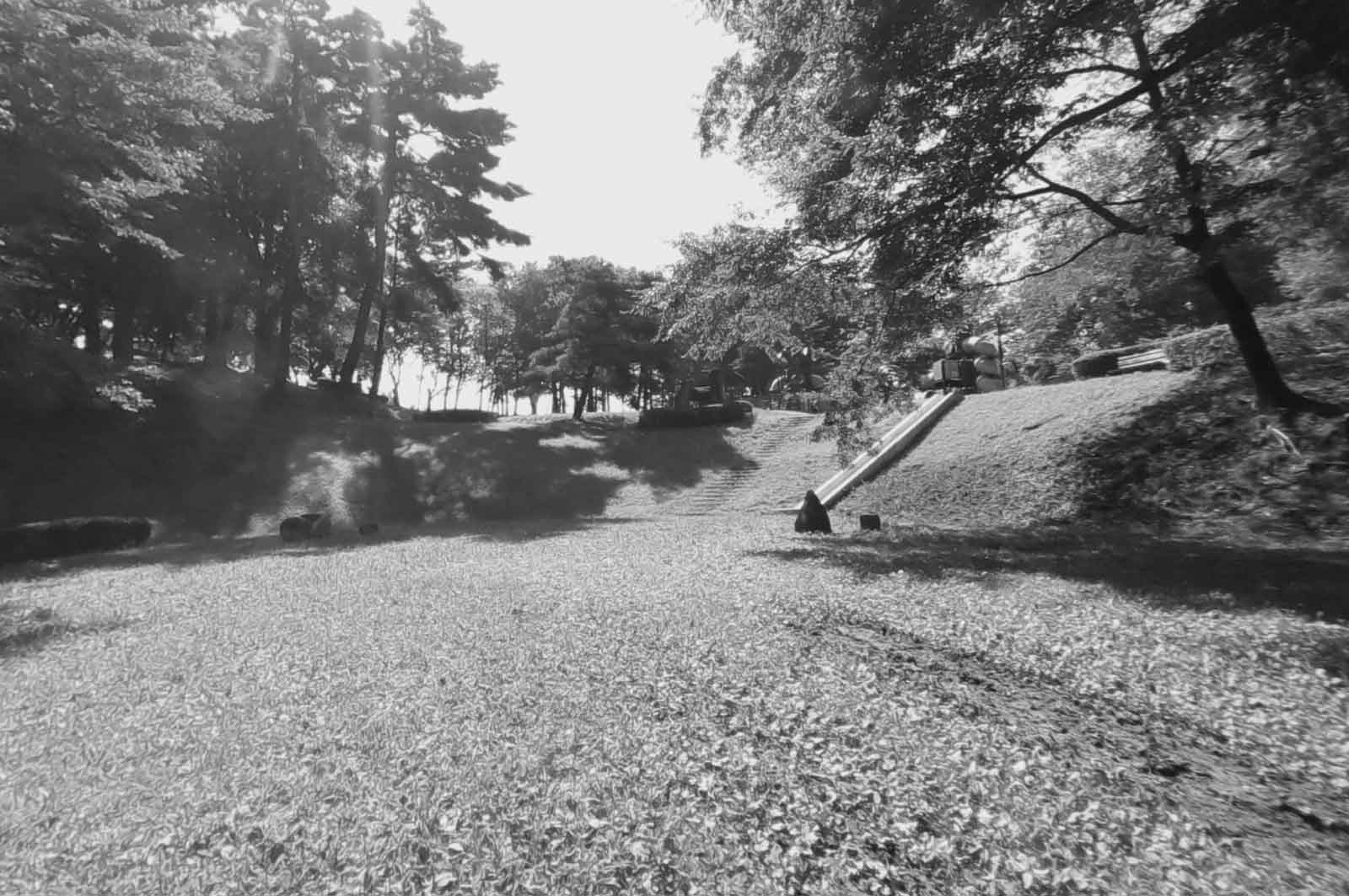 翠ヶ丘公園