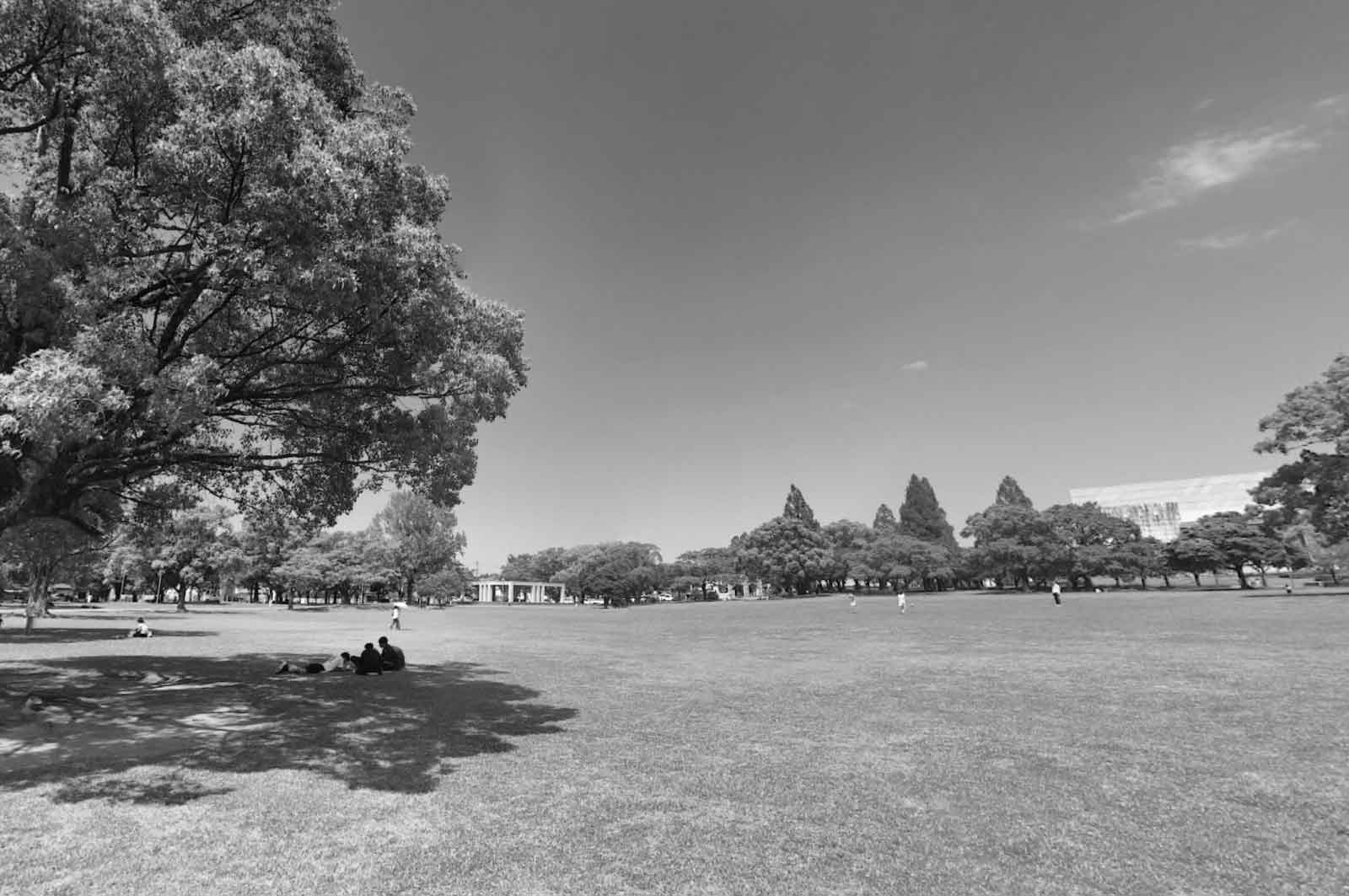 宮崎県総合文化公園