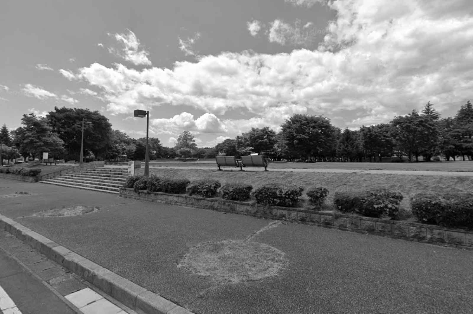 新井田公園