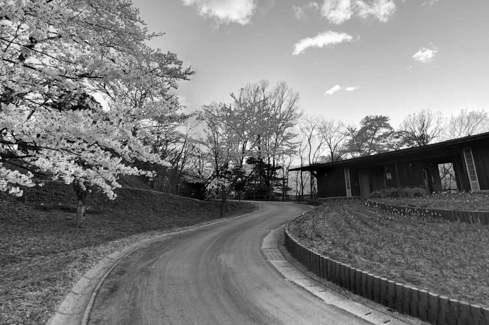 大森城山公園