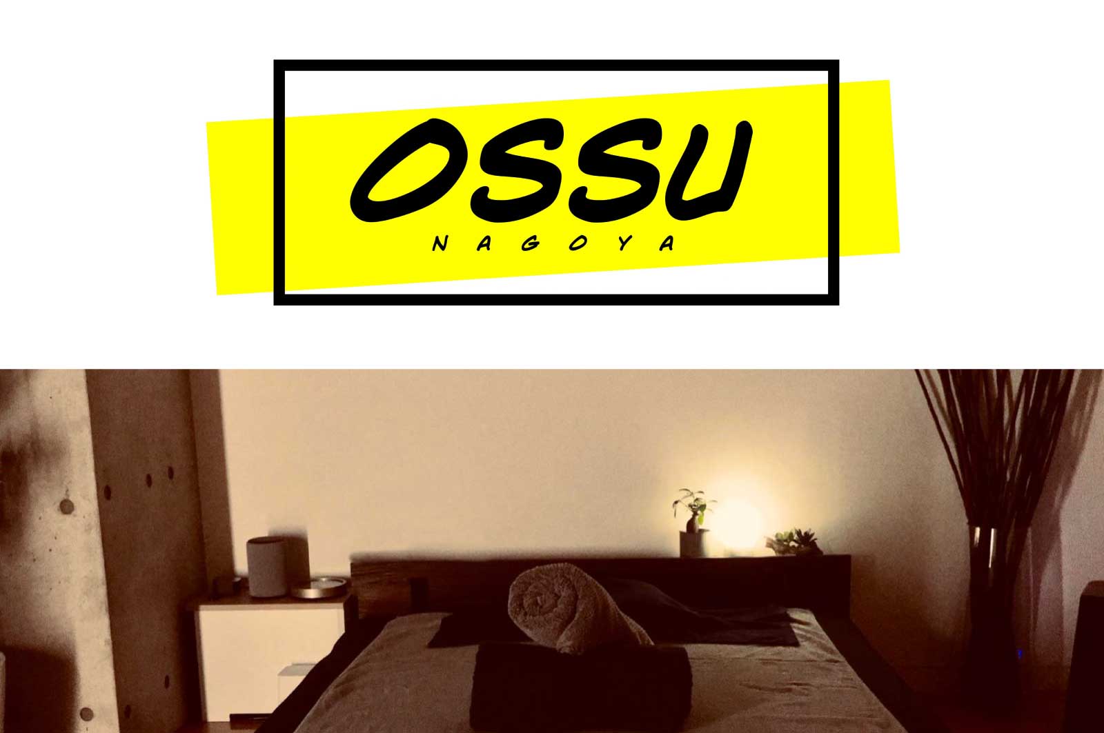 OSSU