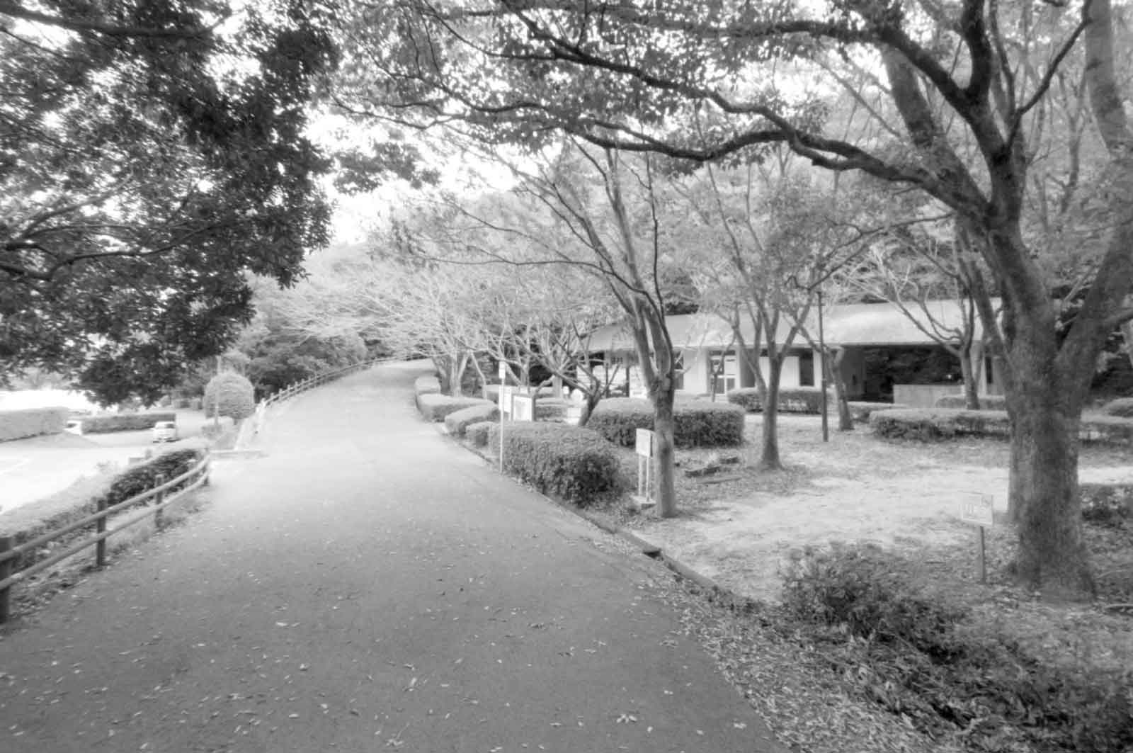 高尾山自然公園(大分市)